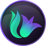 Solily Protocol